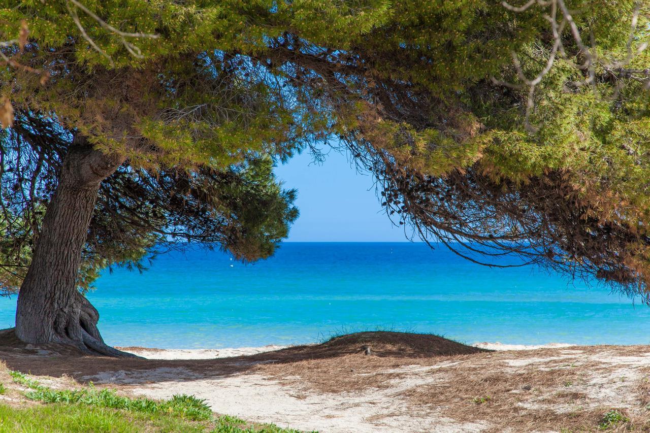 הוילה קאן פיקפורט Formentera 2 מראה חיצוני תמונה